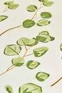  %100 Pamuk Ranforce Ocaliptus Volanlı Yastık Kılıfı 2'li Yeşil (50x70 cm)