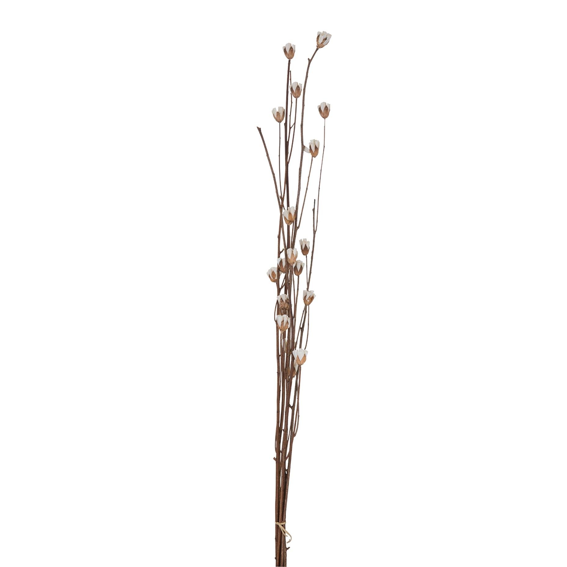 Doğal Sola Çiçek Dalları (95 cm)