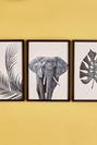  Leaf&Elephant 3'lü Çerçeveli Tablo Siyah (33x48 cm)