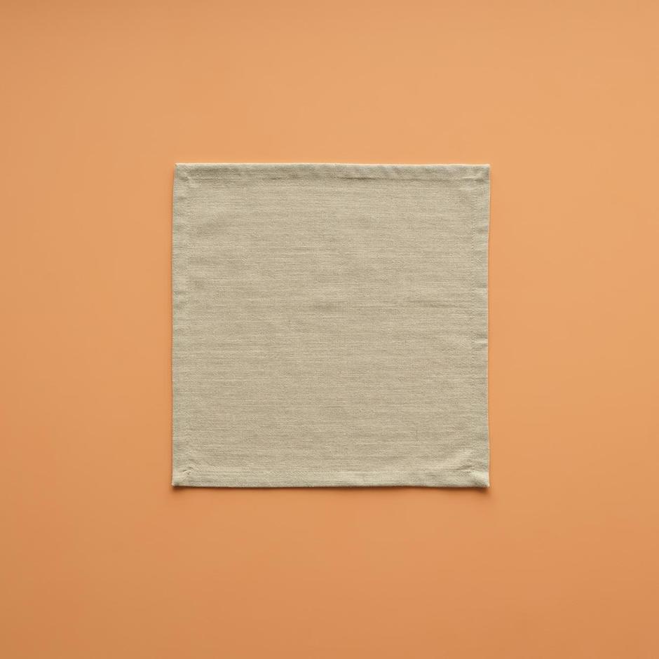  %100 Pamuk Saint Tropez 2'li Peçete Mint (40x40 cm)