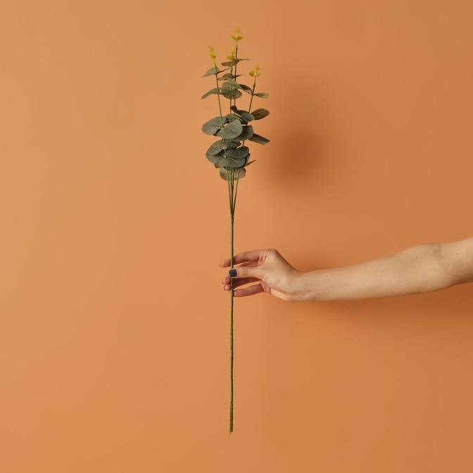 Ocaliptus Dal Çiçek Yeşil (65 cm)