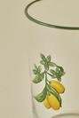  Sicilia Kumquat Meşrubat Bardağı Yeşil (510 cc)