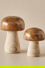  Mushroom Dekoratif Obje Naturel (12x15 cm)
