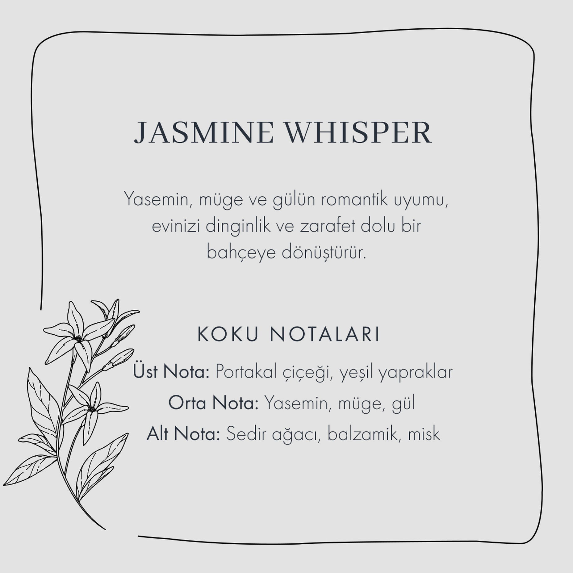 Jasmine Whisper Oda Kokusu Mavi (100 ml)