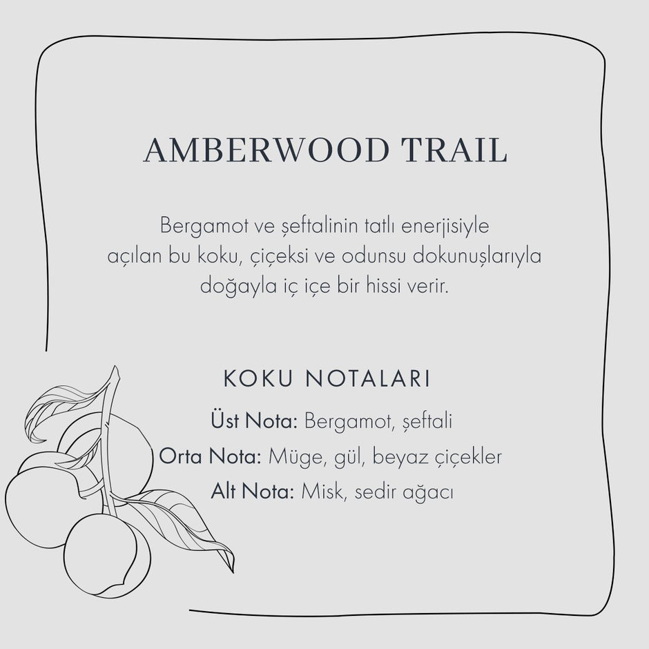  Amberwood Trail Kokulu Mum Sarı (120 gr)